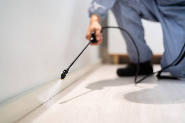 Licensed Ant Control service in Orchidlands Estates, HI - Show Me Pest Control
