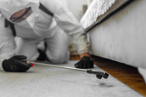 Professional Ant Control technician working in Orchidlands Estates, HI